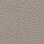 91/HERA-taupe-3101